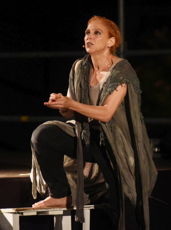 elisabetta pozzi